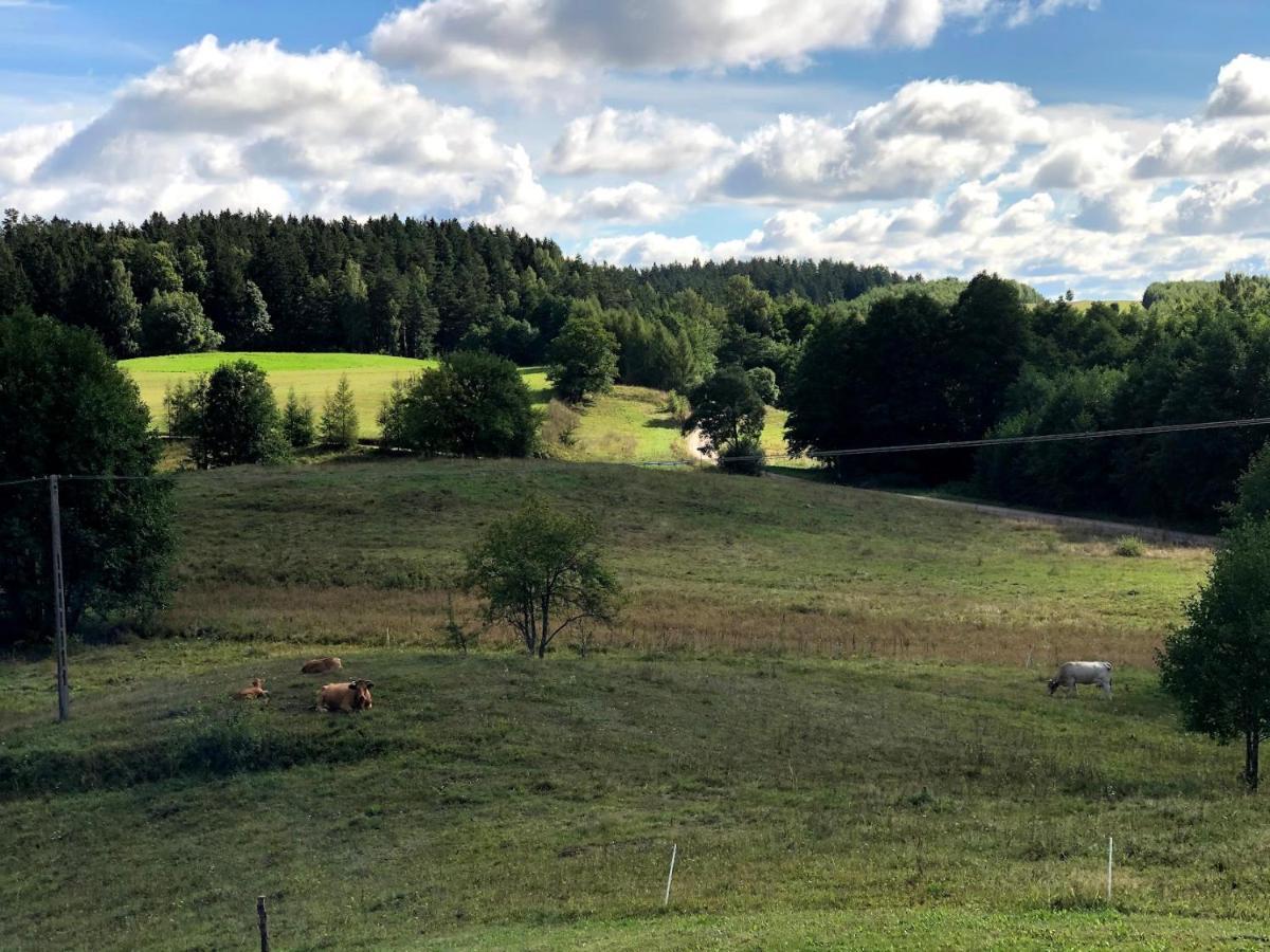 Polimony - Dom Nad Jeziorem Z Prywatnym Pomostem Polimonie Bagian luar foto